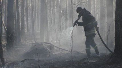 ДСНС продовжує гасити осередки пожеж у Чорнобилі і на Житомирщині