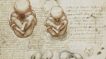 Первые анатомические рисунки в истории: талант Леонардо до Винчи (Фото)