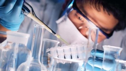 Ученые намерены создать банк индуцированных стволовых клеток iPS 