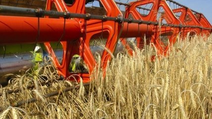 РФ снизила урожайность зерновых и зернобобовых культур на 27,5%
