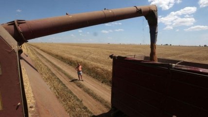 путин выдвинул условия возвращения россии в зерновую сделку: их аж шесть пунктов