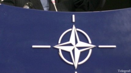 Сторонники и противники вступления Грузии в НАТО подрались