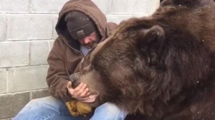 Как утешить грустного медведя: мастер-класс от американца (Видео)