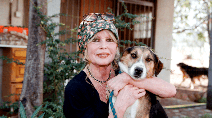 Брижит Бардо