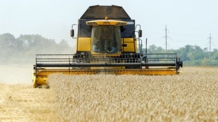 Минагропрод повысил прогноз урожая зерновых в Украине до 63 миллионов тонн