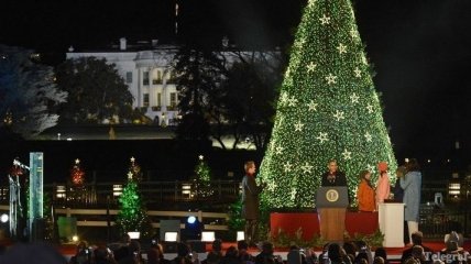 Обама зажег огни на Национальной елке США