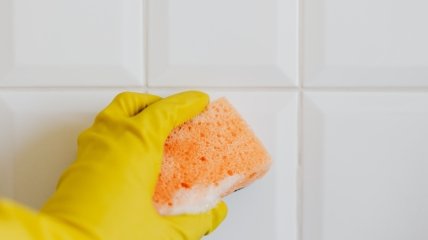 Плесень — это микроскопический грибок, который процветает во влажной и теплой среде