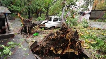 Ураган пронесся над Украиной: разрушены дома, повалены деревья