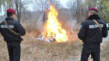 Полтавские правоохранители уничтожили наркотиков на миллион гривен