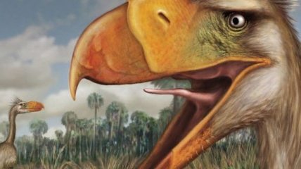 Ученым удалось воссоздать крик древней "птицы ужаса"