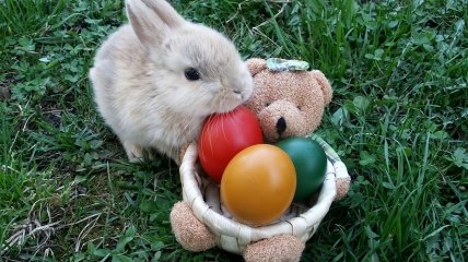 Мастер-класс: делаем с ребенком пасхального зайчика