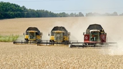 Украинские аграрии завершили уборку ранних зерновых