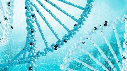Генетики: дрожжи способны синтезировать опиаты