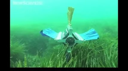Робот с 4 плавниками, который способен плыть в любом направлении (Видео)