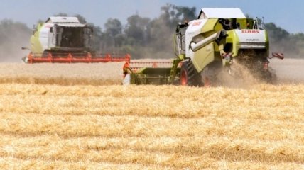 В 2016 году экспорт зерновых Украины стал рекордным
