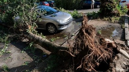Сильный ураган обрушился на Польшу: есть жертвы