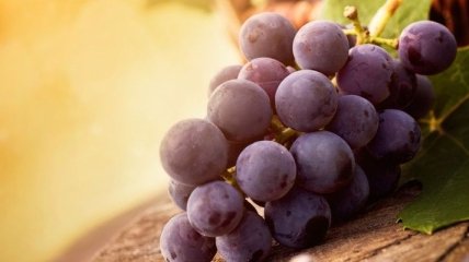 Кому полезен виноград?