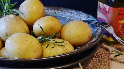 Копайте поскорее: в чем ценность молодого картофеля