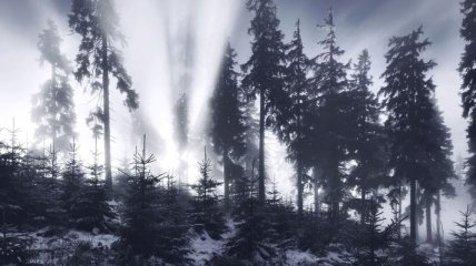 Красивые снимки заснеженных горных лесов Европы (Фото)