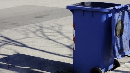 Власти швейцарского кантона воюют с мусором
