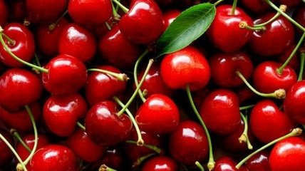 Врачи назвали ягоды, замедляющие старение организма