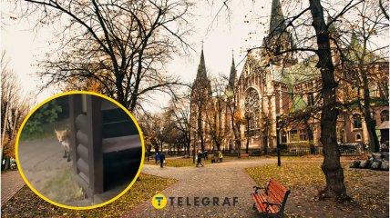 Осінній Львів