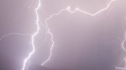 В Черниговской области молния попала в пастухов