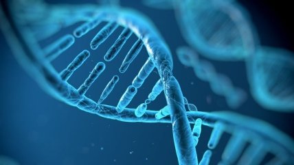 Найден способ "подсвечивать" ДНК в живых клетках