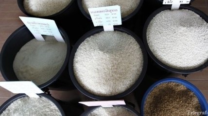 В мире уменьшится урожай риса из-за дефицита осадков в Индии