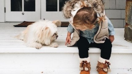 6 лучших пород собак для семьи с маленькими детьми