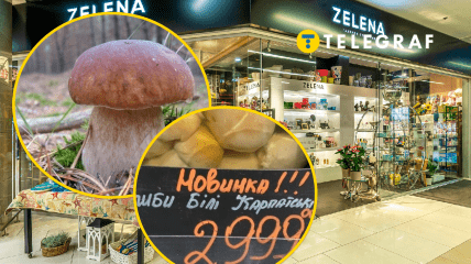 Цены на белые грибы в Украине становятся предметом дискуссий