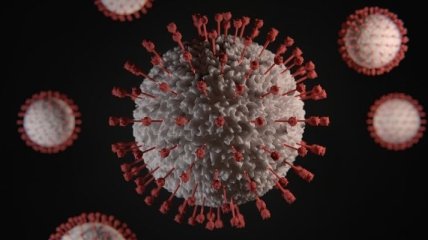 Скільки буде жити коронавірус при різних температурах