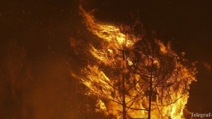 Лесные пожары в Португалии: 45 человек ранены, более сотни людей эвакуированы