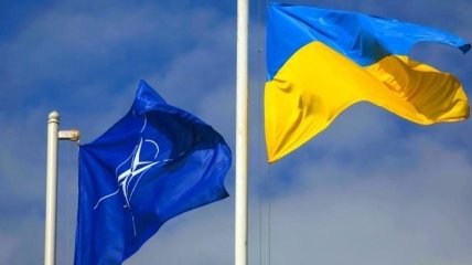 Украина развивает оборонную реформу с НАТО: отчет делегации