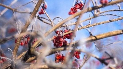 В Украину придет антициклон, ожидается снег: синоптик озвучила прогноз погоды на 17 февраля
