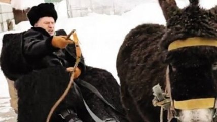 Жириновский продал осла, которого снимали в предвыборном ролике