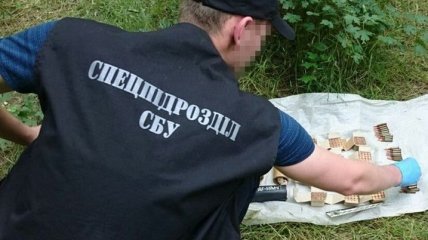 В Одесской области обнаружили два тайника с боеприпасами