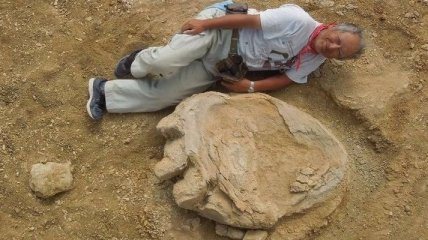 В пустыне Гоби нашли редкий отпечаток ноги титанозавра
