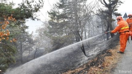 На востоке Грузии снова возник лесной пожар