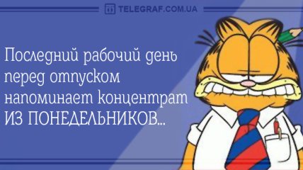 Начните четверг со смеха: утренние анекдоты 11 октября