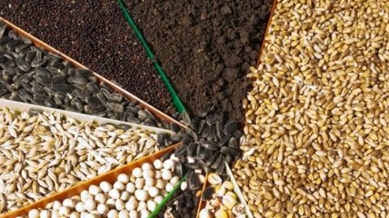 Днепропетровская область собрала 1-й миллион тонн зерновых