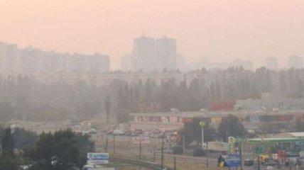Киев снова затянуло дымом: горит лес под Броварами