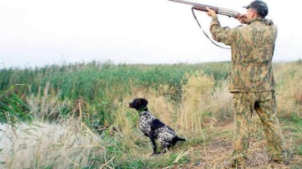 В Луганской области разрешили охотиться на пернатую дичь