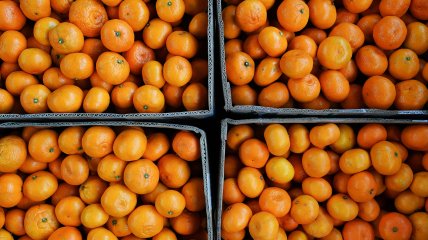 Турецкие мандарины якобы нельзя употреблять из-за пестицидов, концентрация которых превышает норму