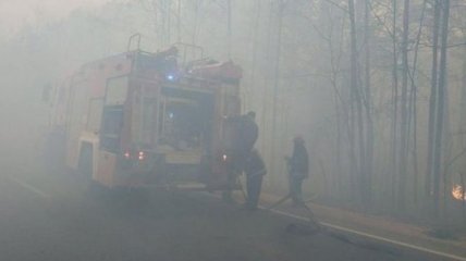 На Житомирщині ліквідували більше третини осередків лісової пожежі