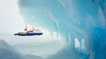 Международная спасательная операция в Антарктиде (Фото)