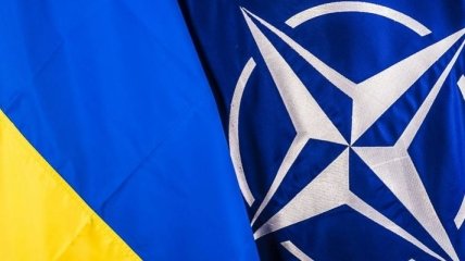 Проект годовой программы сотрудничества с НАТО уже передали в Кабмин