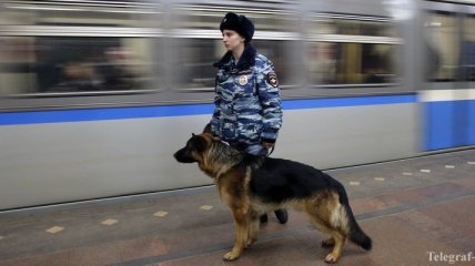 В Санкт-Петербурге задержали предполагаемых сообщников террориста
