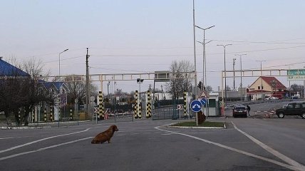 Украина открыла пункты пропуска на границе с ЕС и Молдовой 