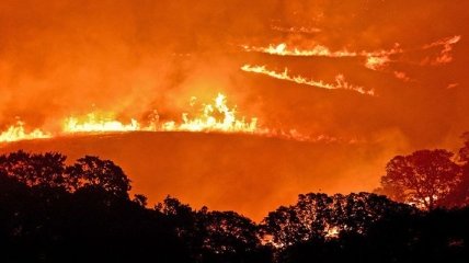 В результате пожаров в Калифорнии погиб еще один пожарный